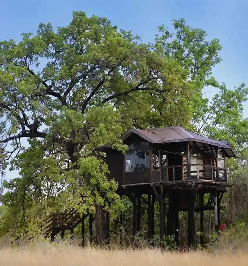 Pench Tree Lodge by Pugdundee Safaris